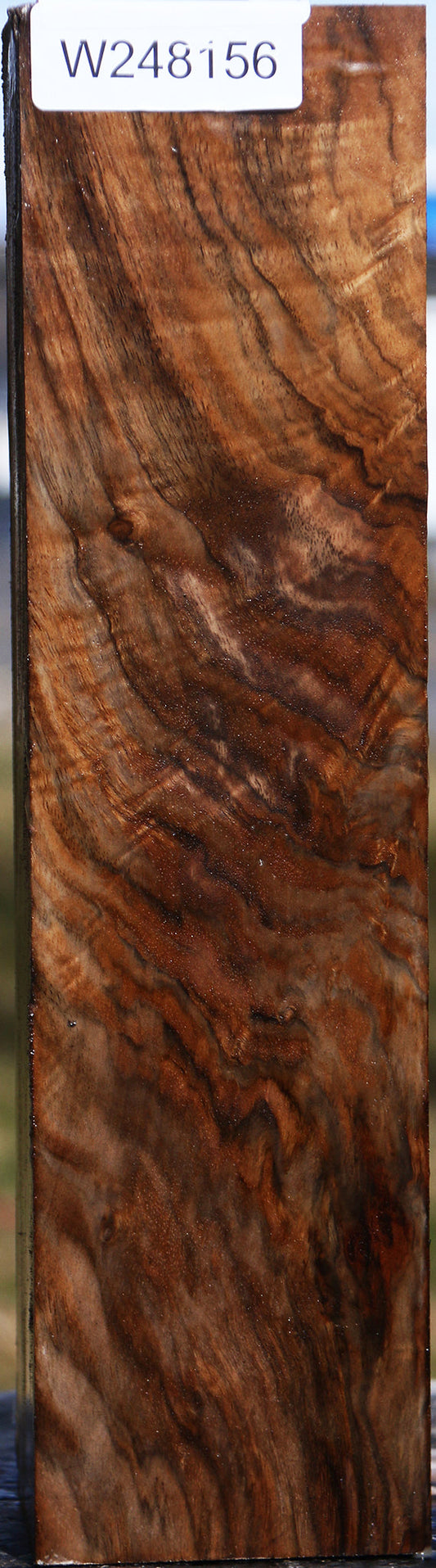 Extra Fancy English Walnut Vessel Blank