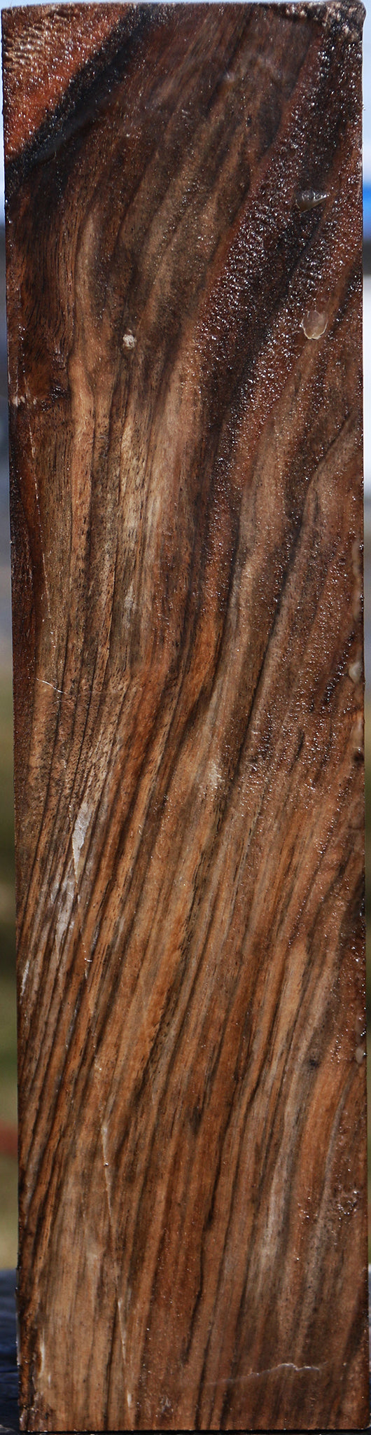 Extra Fancy English Walnut Vessel Blank