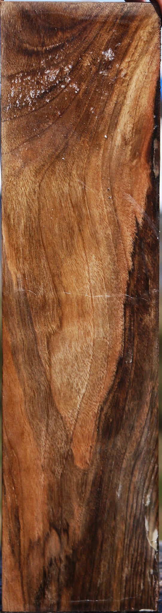 Extra Fancy English Walnut Vessel Blank