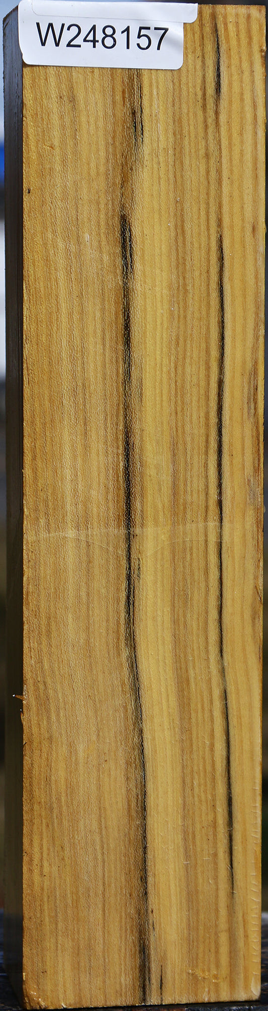 Black Locust Vessel Blank