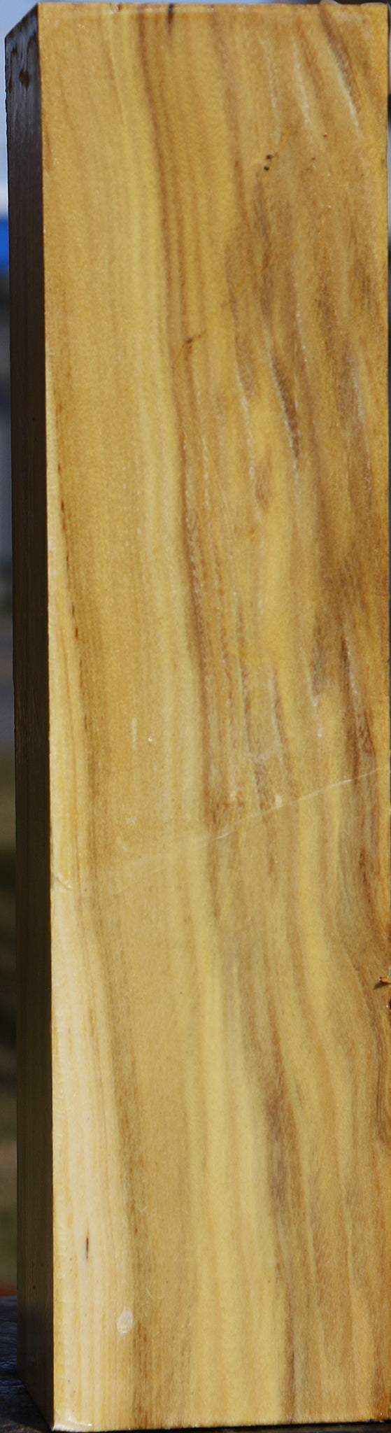 Black Locust Vessel Blank