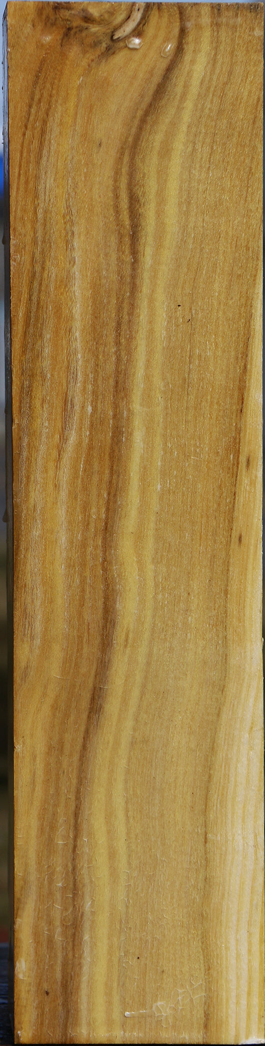 Black Locust Vessel Blank