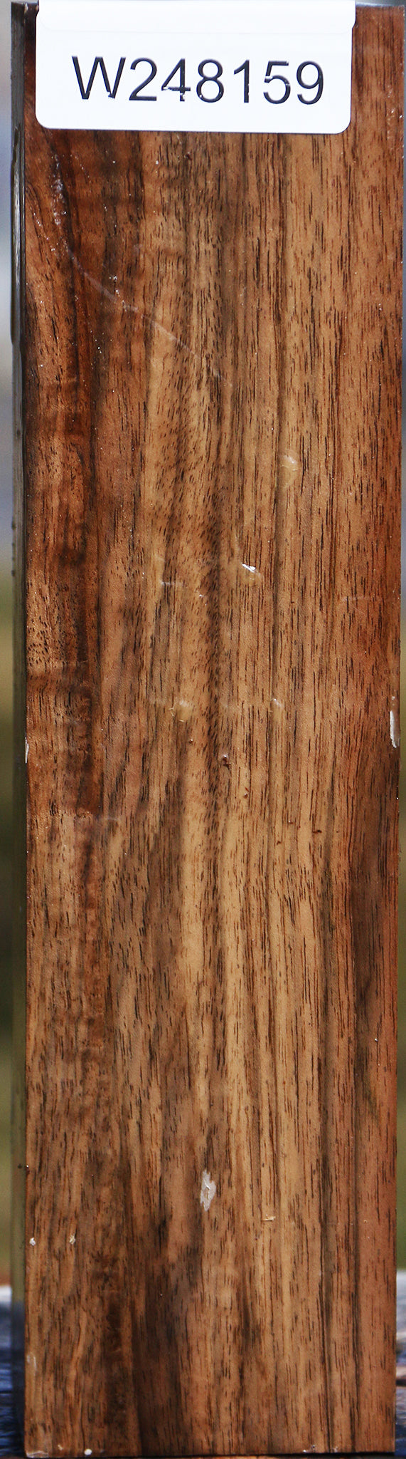 English Walnut Peppermill
