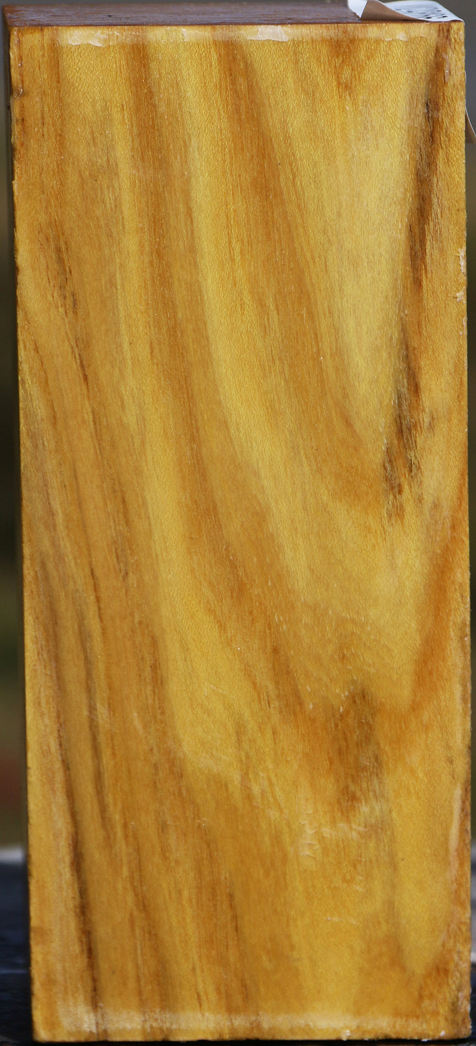 Black Locust Turning Square