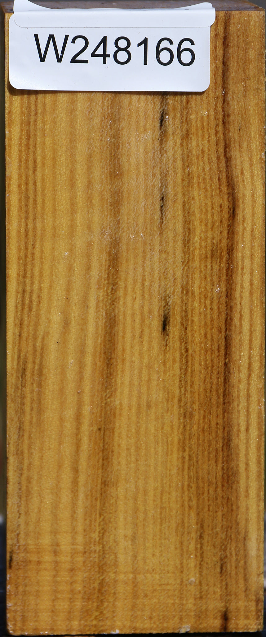 Black Locust Turning Square