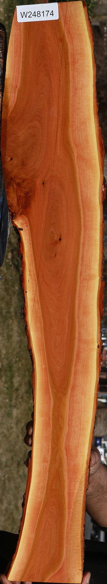 Figured Oregon Ironwood Live Edge Lumber