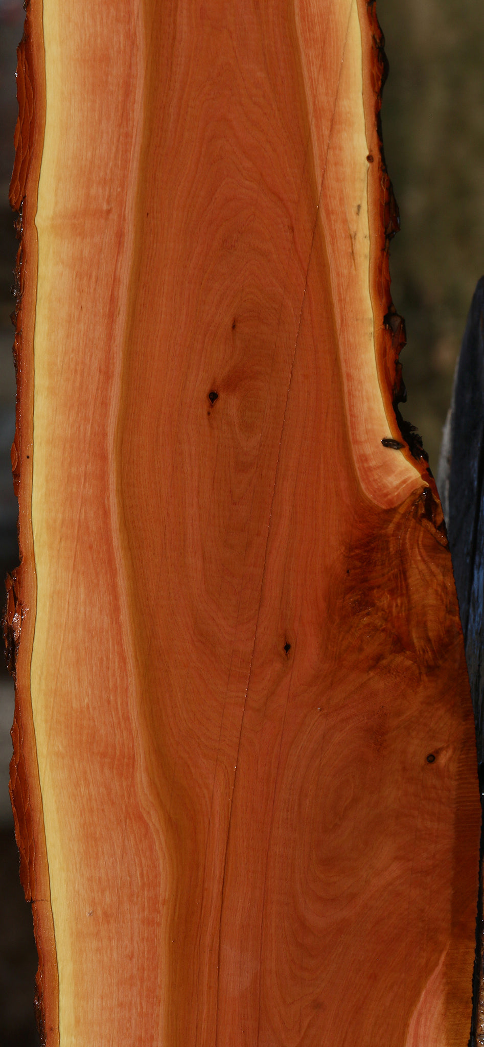 Figured Oregon Ironwood Live Edge Lumber
