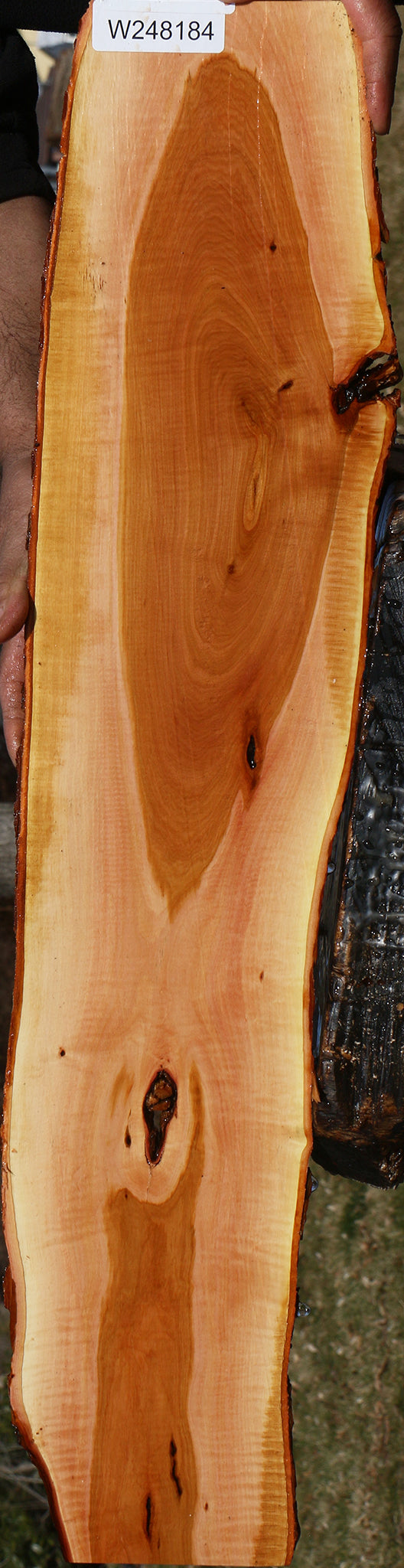 Extra Fancy Oregon Ironwood Live Edge Lumber
