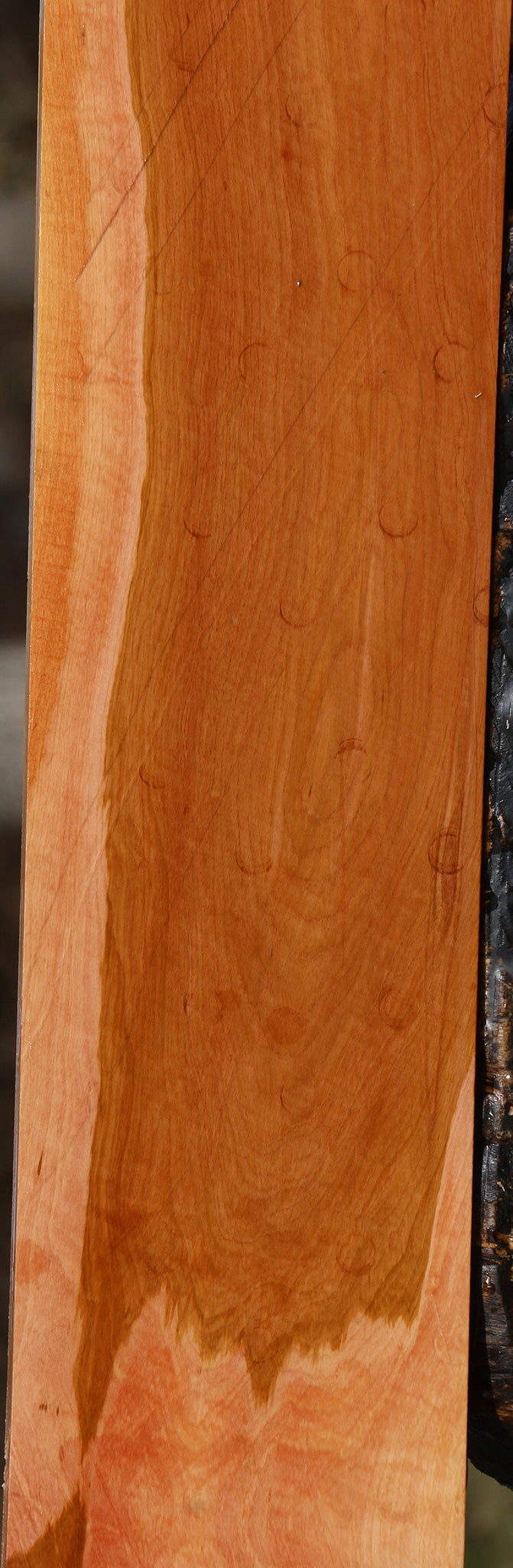 Figured Oregon Ironwood Micro Lumber