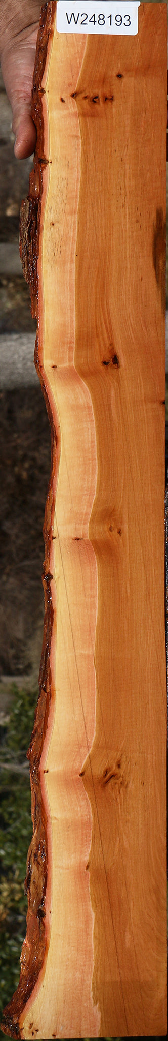 Figured Oregon Ironwood Live Edge Lumber