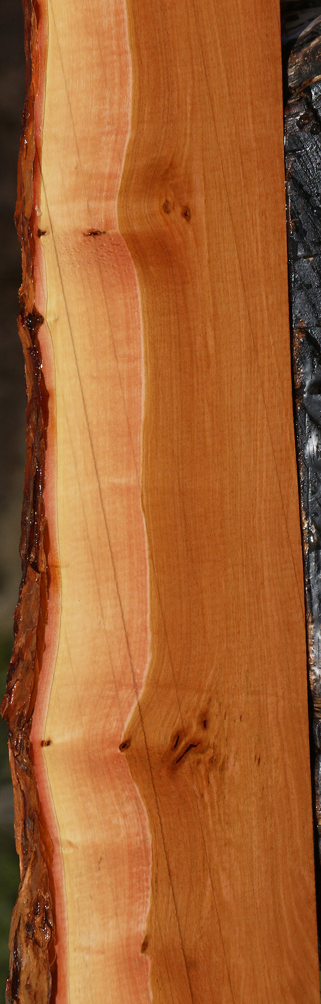 Figured Oregon Ironwood Live Edge Lumber