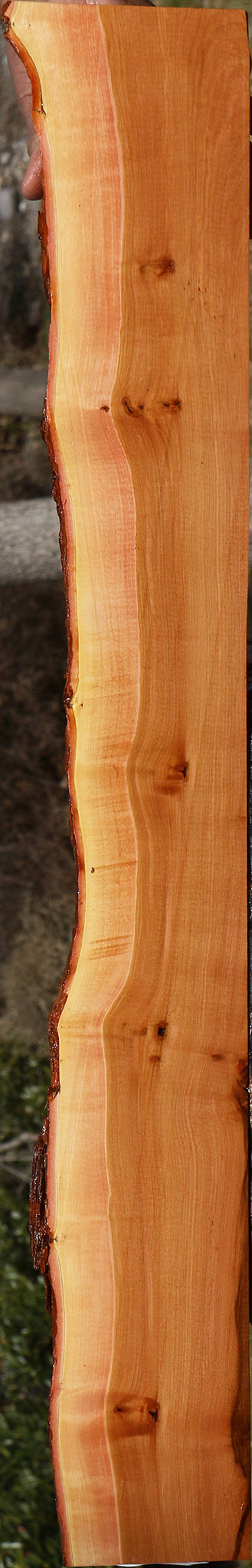 Figured Oregon Ironwood Live Edge Lumber