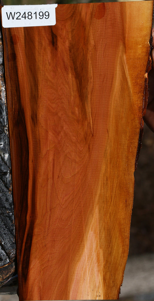 Oregon Ironwood Live Edge Lumber