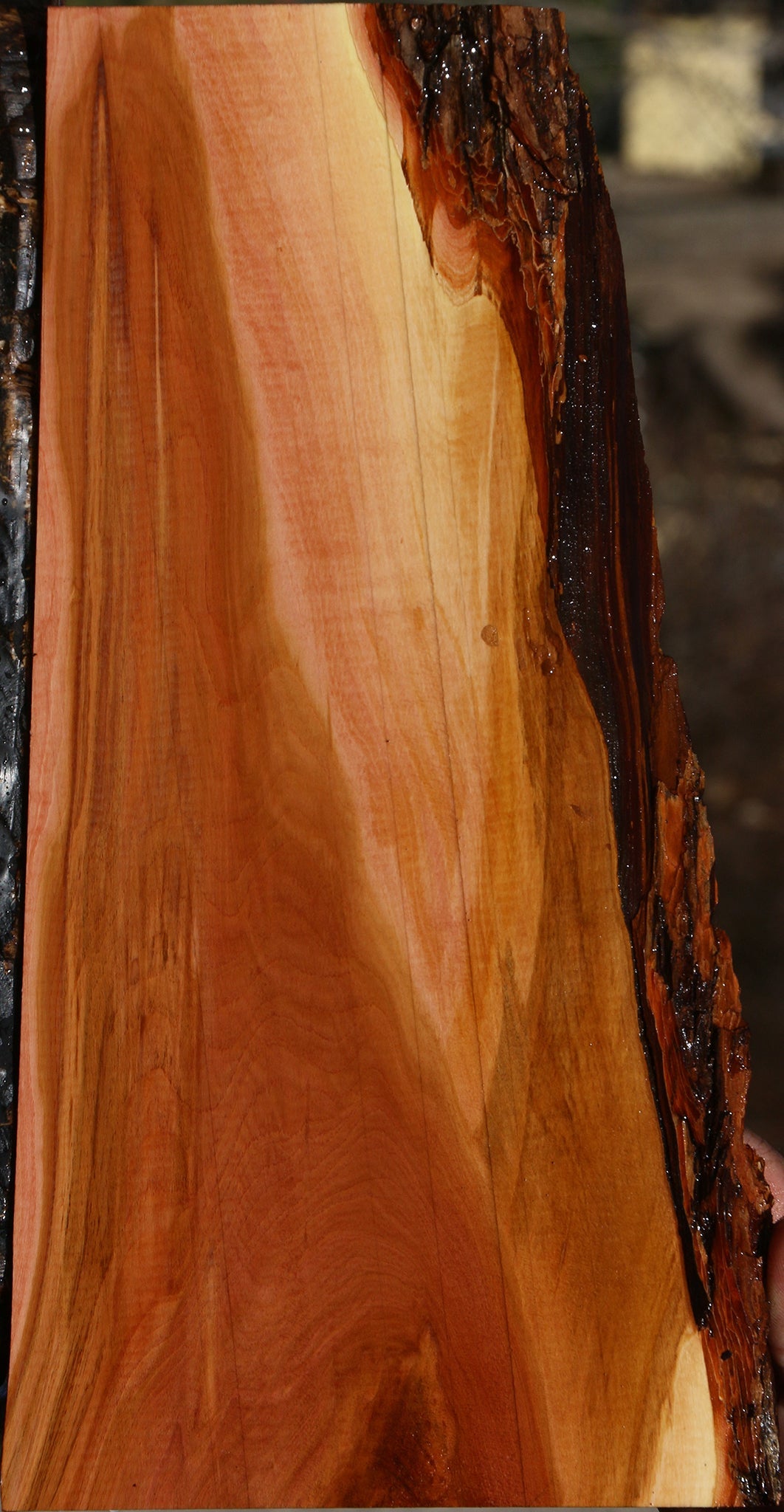 Oregon Ironwood Live Edge Lumber
