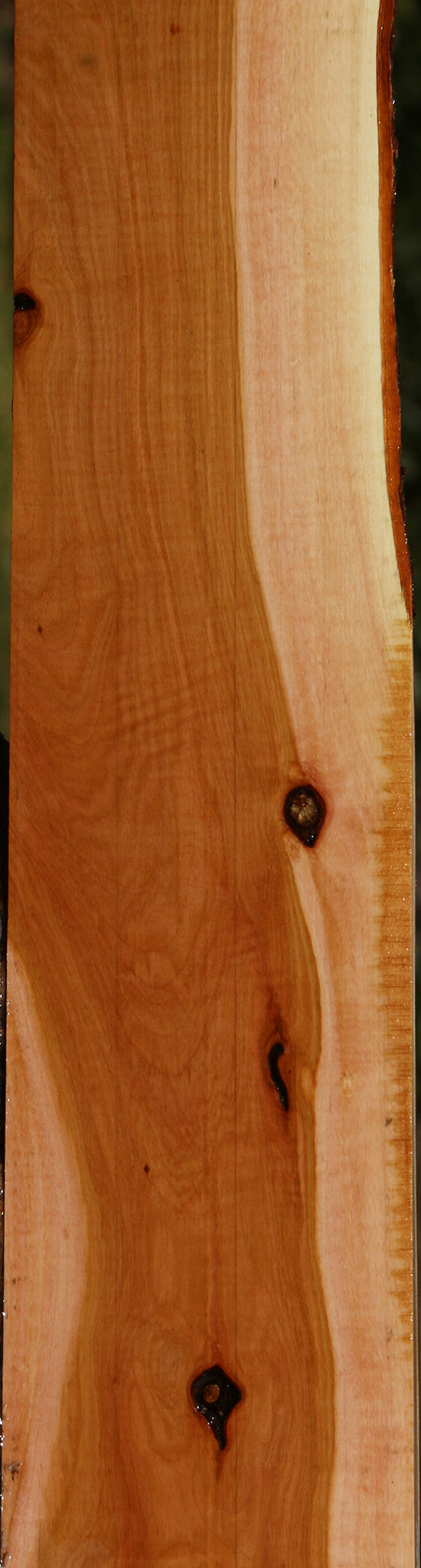 Figured Rustic Oregon Ironwood Lumber