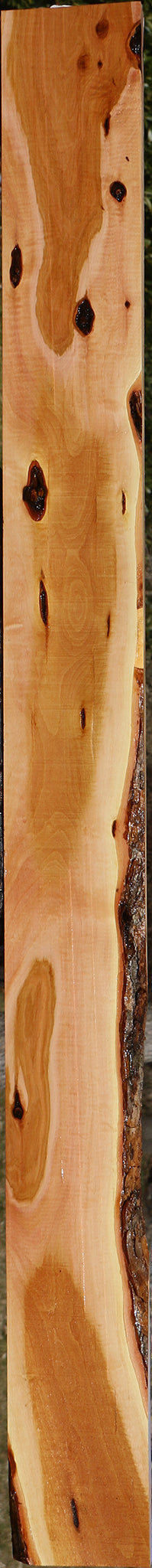 Figured Rustic Oregon Ironwood Lumber