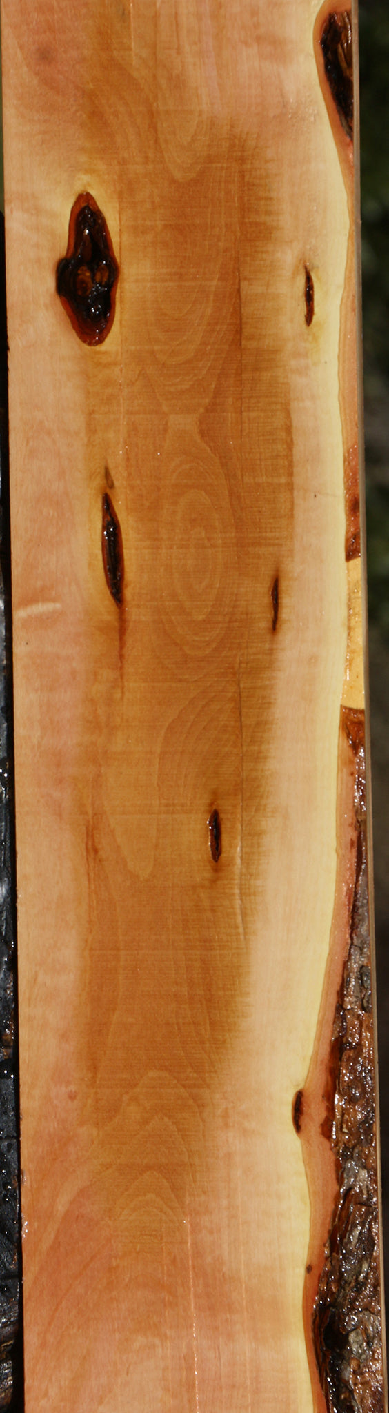 Figured Rustic Oregon Ironwood Lumber