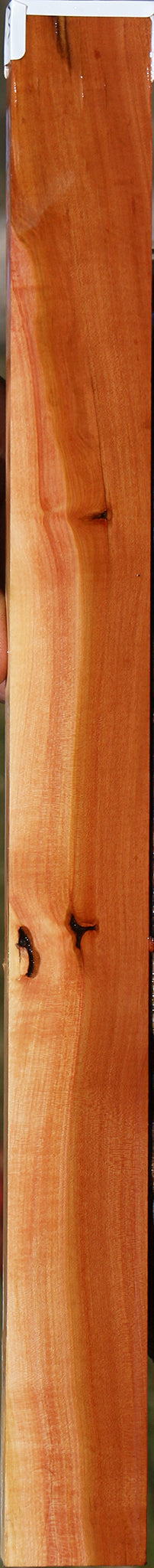 Figured Oregon Ironwood Micro Lumber