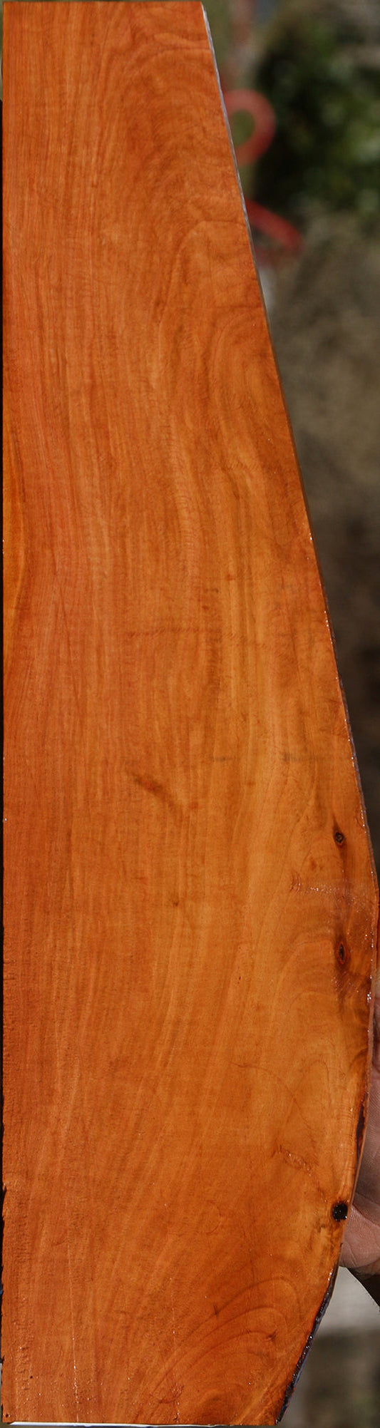 Oregon Ironwood Micro Lumber