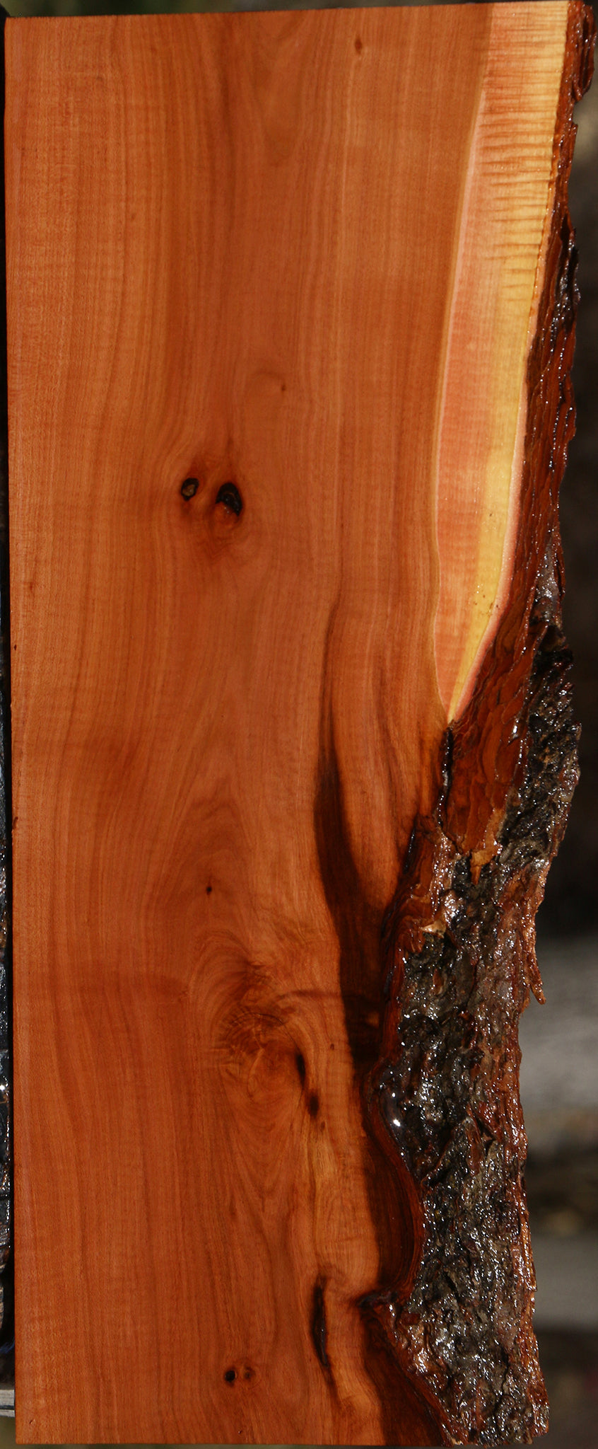 Figured Oregon Ironwood Live Edge Lumber