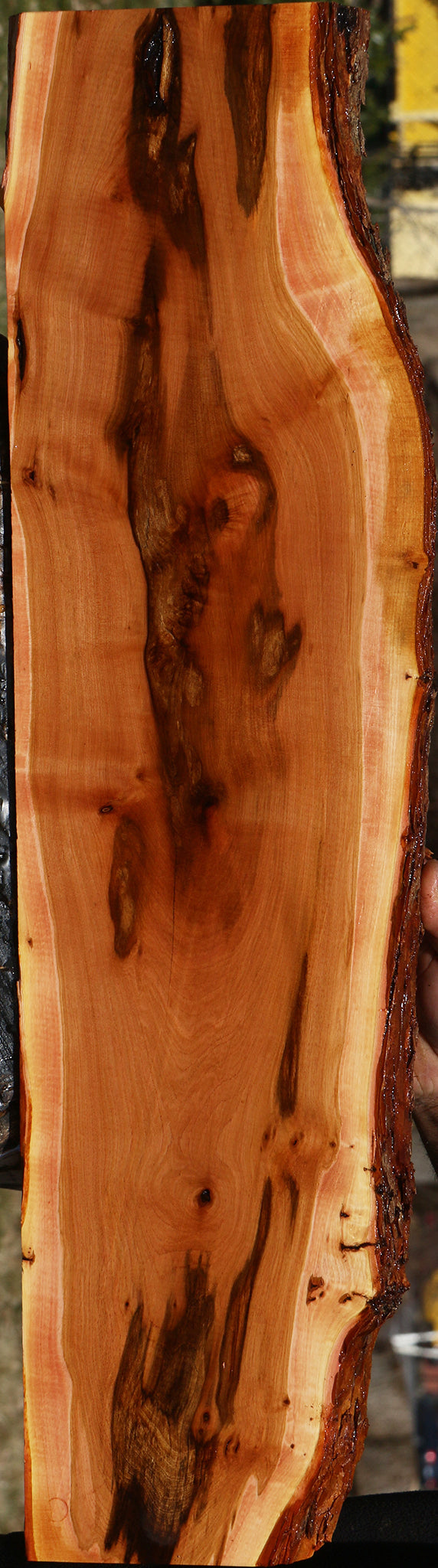 Rustic Oregon Ironwood Live Edge Lumber