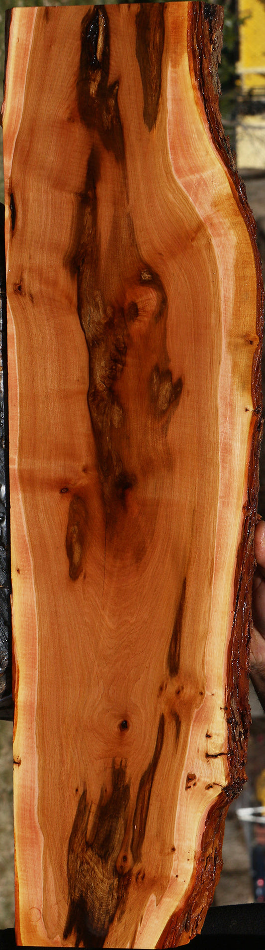 Rustic Oregon Ironwood Live Edge Lumber