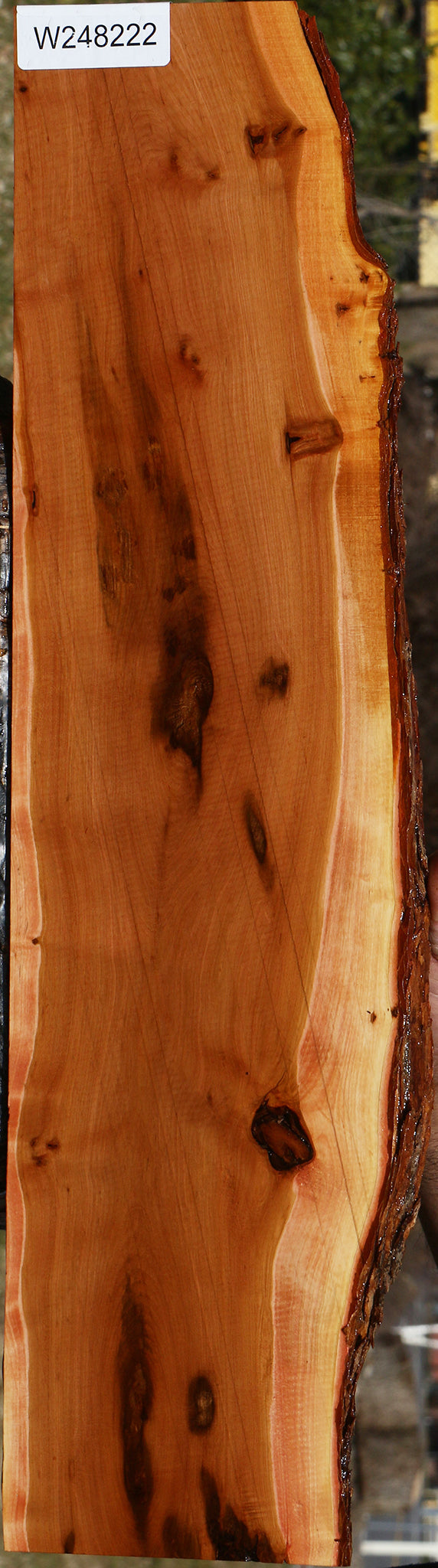 Rustic Oregon Ironwood Live Edge Lumber