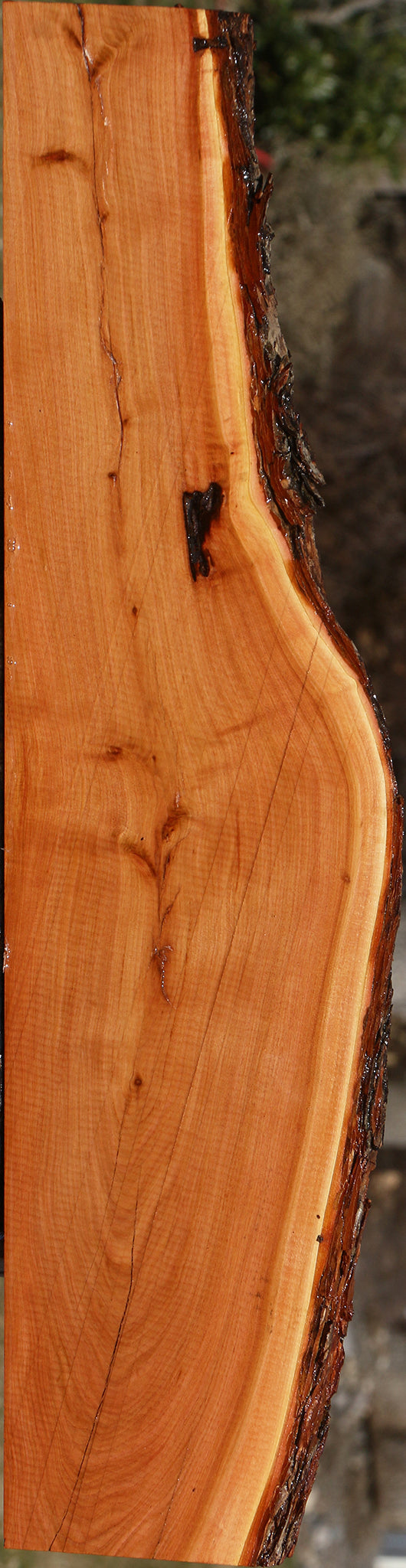 Rustic Oregon Ironwood Live Edge Lumber