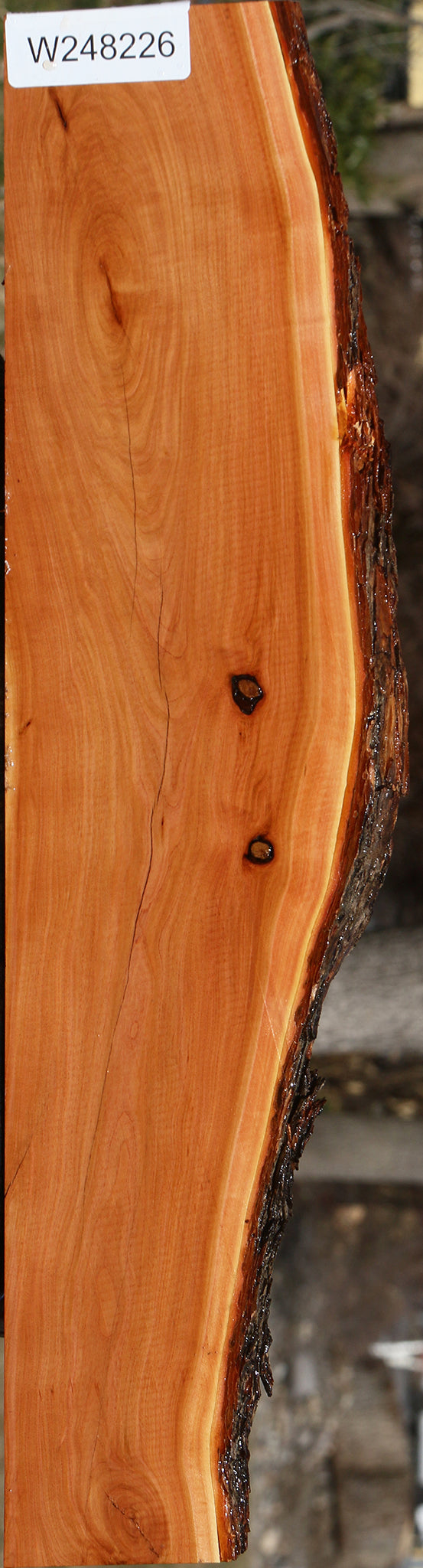 Rustic Oregon Ironwood Live Edge Lumber