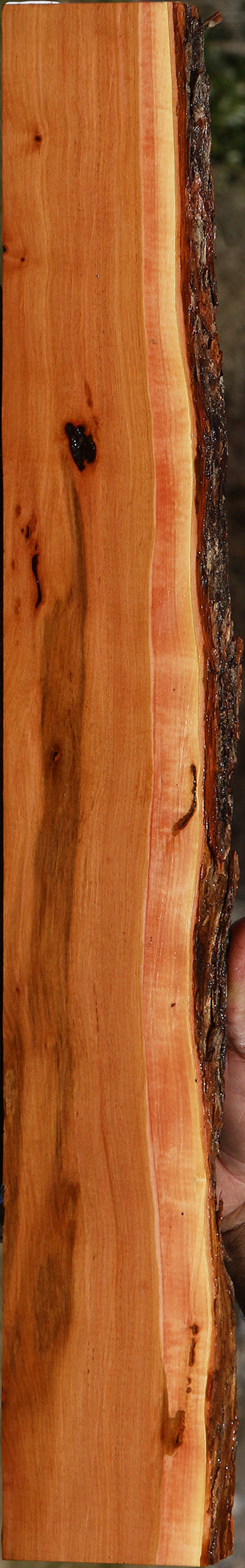 Oregon Ironwood Live Edge Lumber