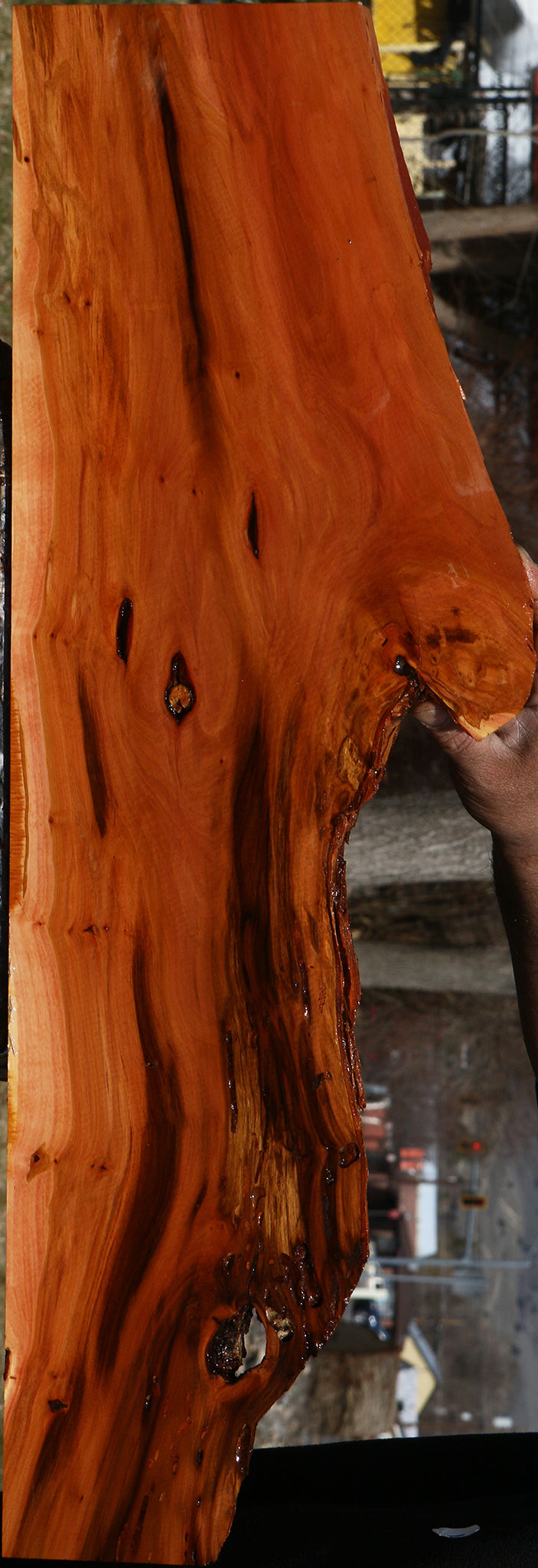 Oregon Ironwood Live Edge Lumber