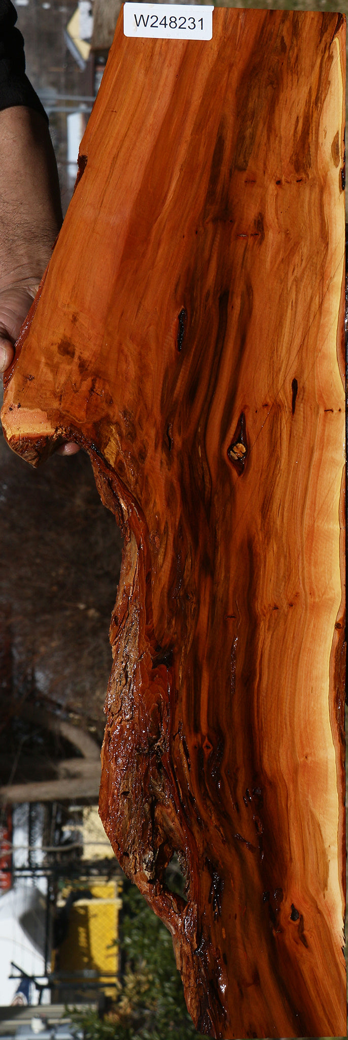 Oregon Ironwood Live Edge Lumber
