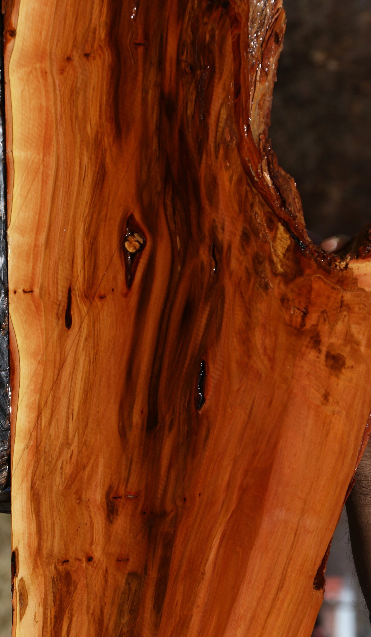 Oregon Ironwood Live Edge Lumber