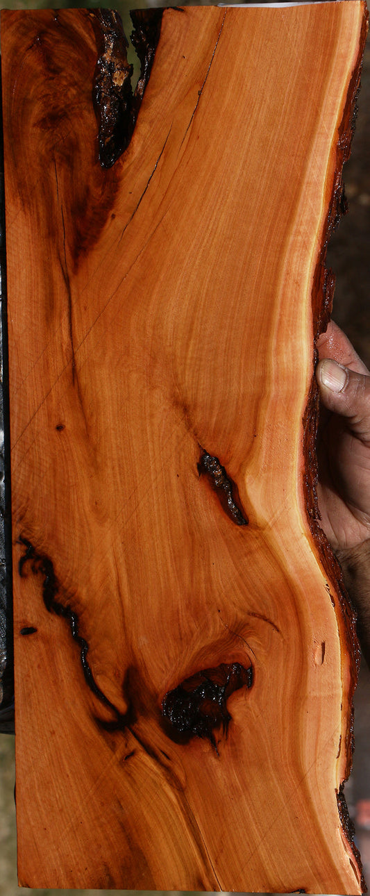 Rustic Oregon Ironwood Live Edge Micro Lumber