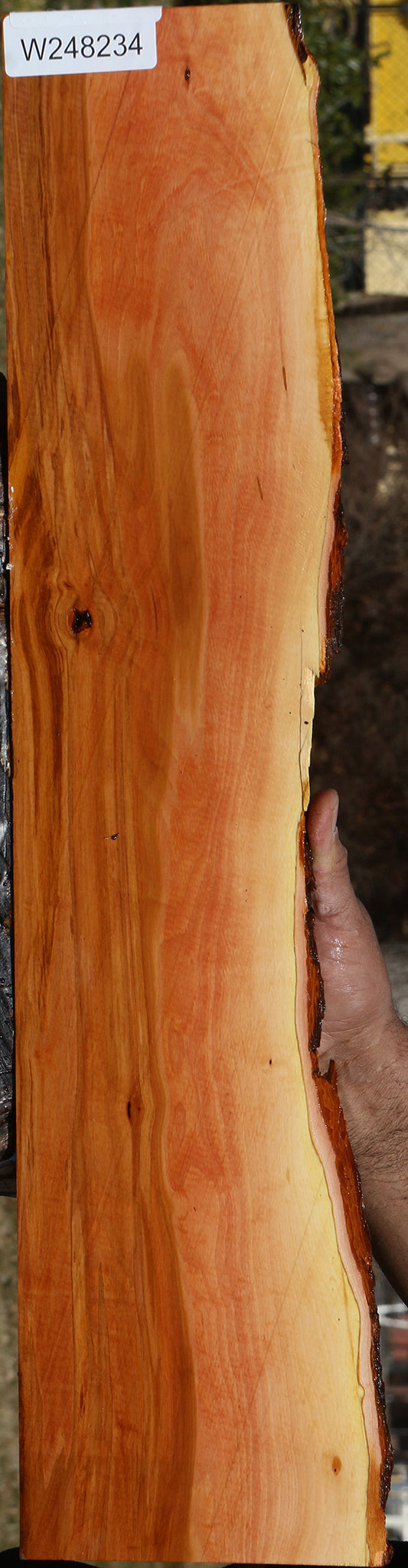 Oregon Ironwood Live Edge Lumber