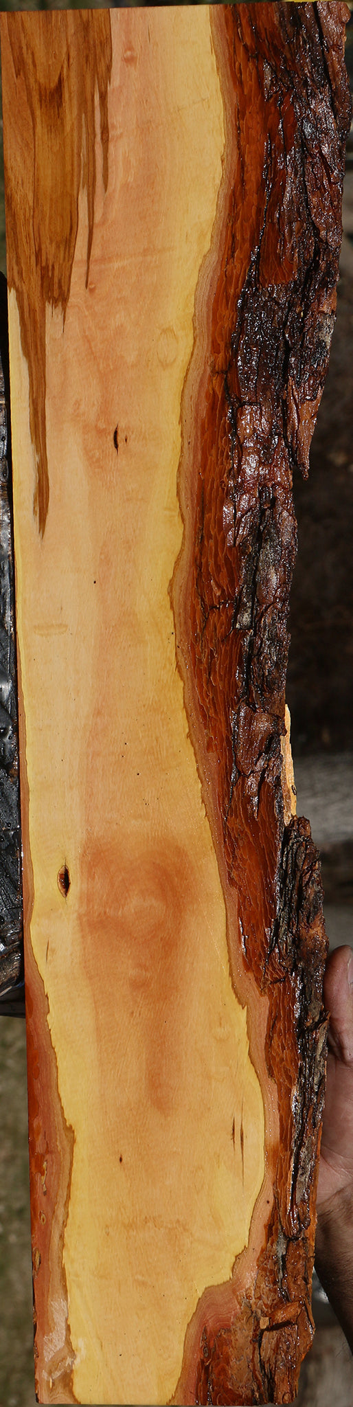 Oregon Ironwood Live Edge Lumber