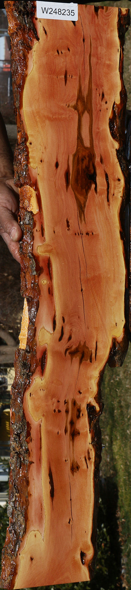 Figured Rustic Oregon Ironwood Live Edge Lumber