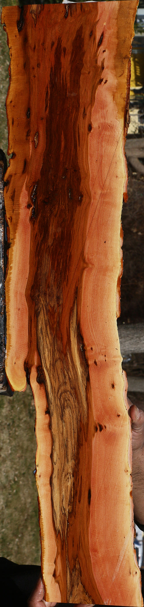 Figured Rustic Oregon Ironwood Live Edge Lumber