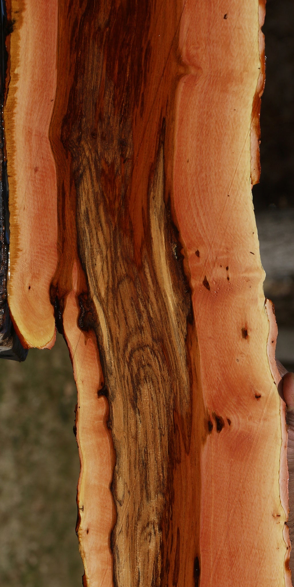 Figured Rustic Oregon Ironwood Live Edge Lumber