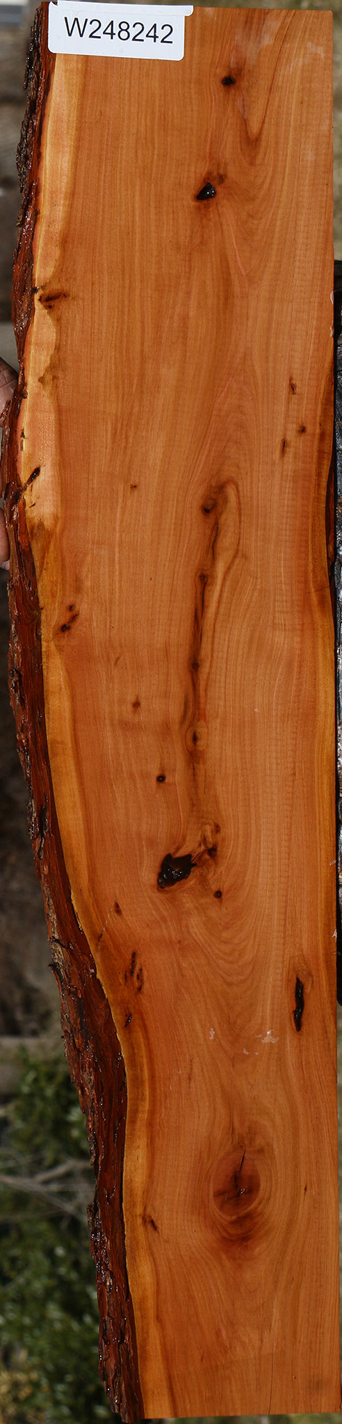 Figured Rustic Oregon Ironwood Live Edge Lumber