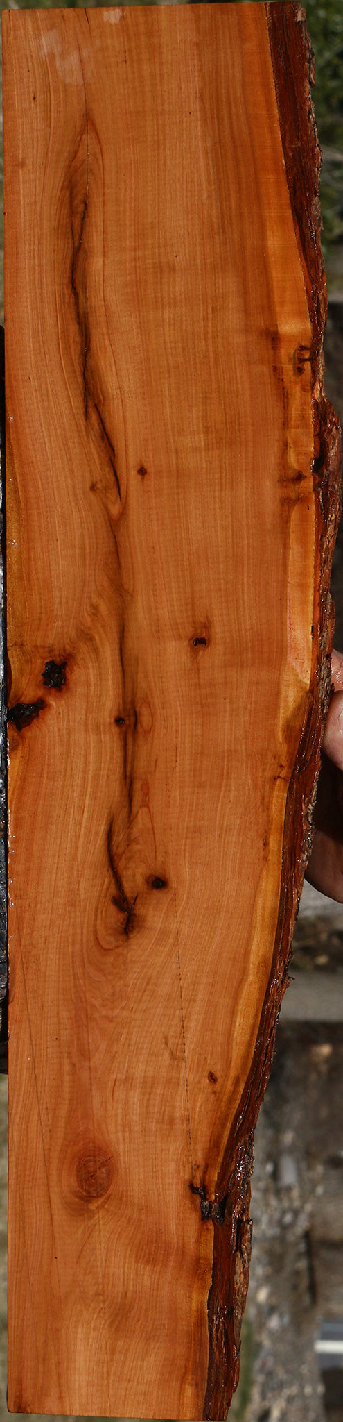 Figured Rustic Oregon Ironwood Live Edge Lumber