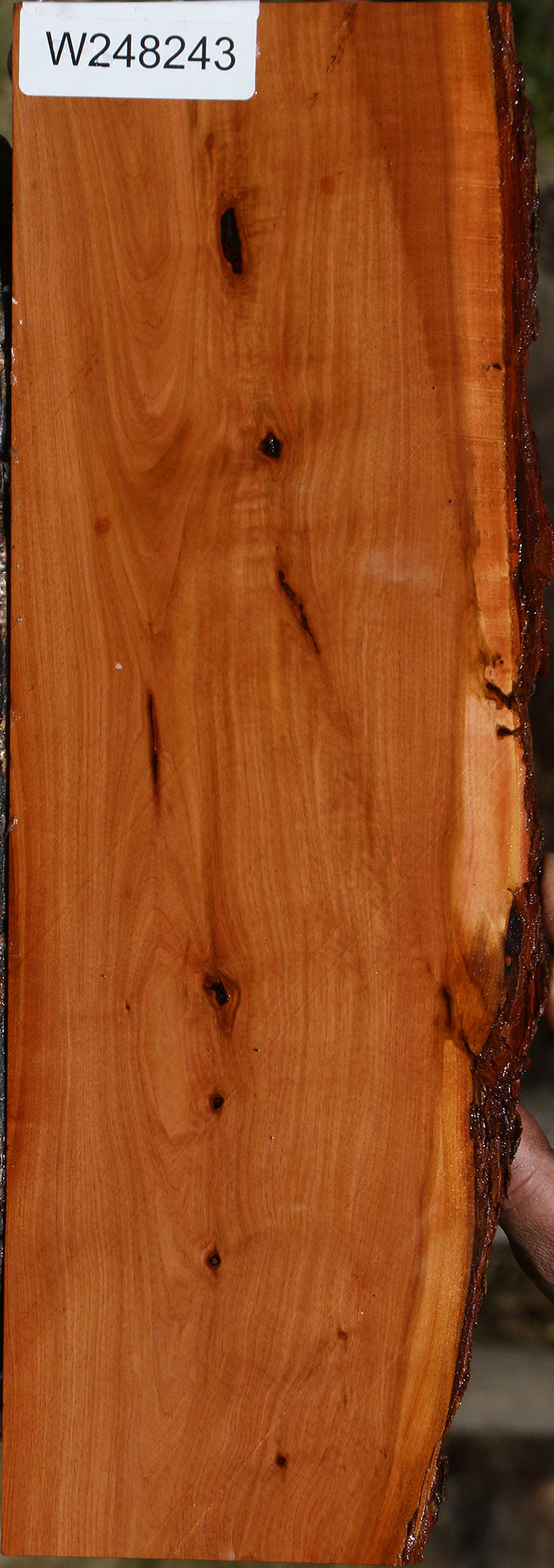 Oregon Ironwood Live Edge Lumber