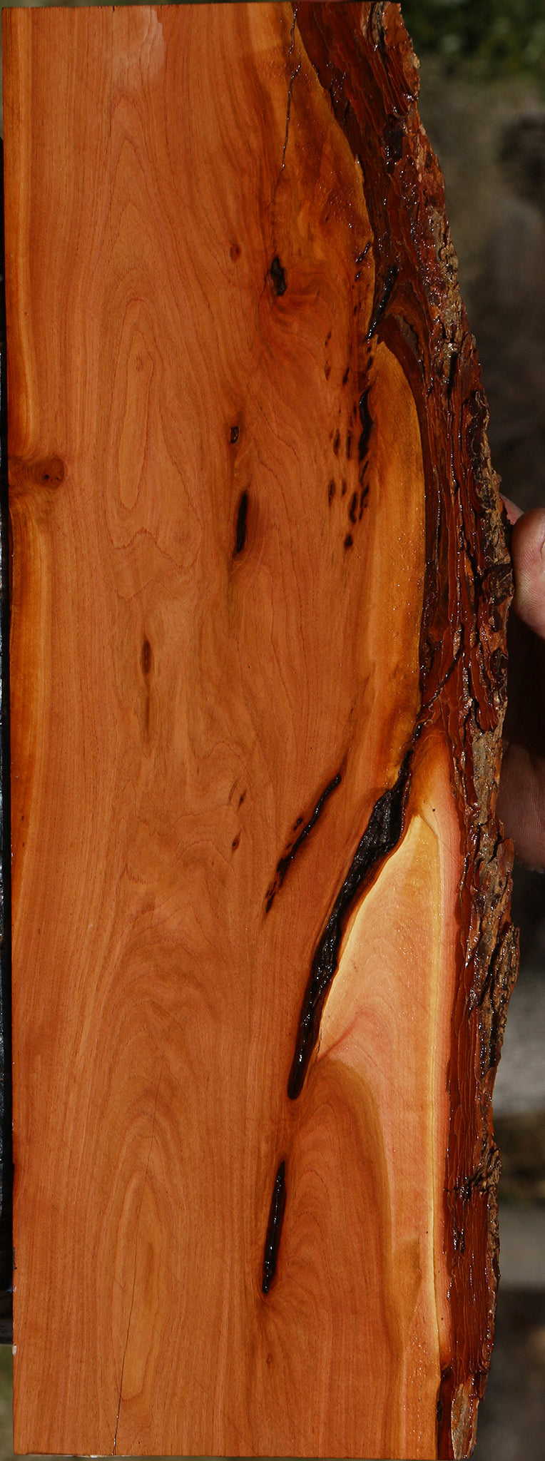 Oregon Ironwood Live Edge Lumber
