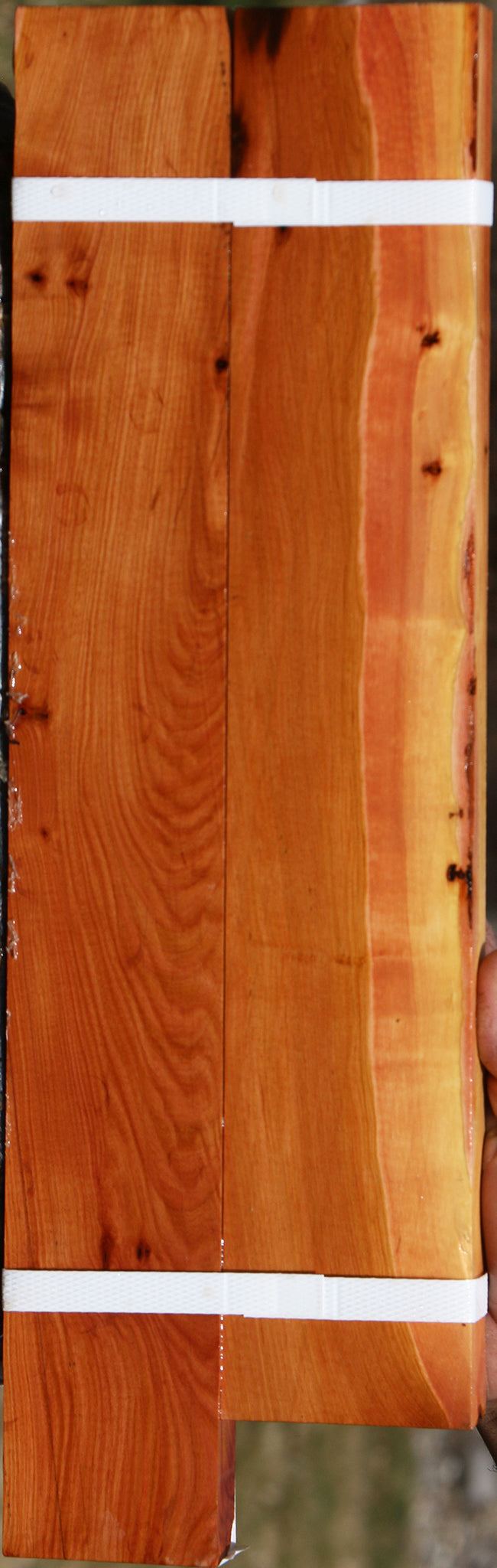 Oregon Ironwood Lumber 2 Pack