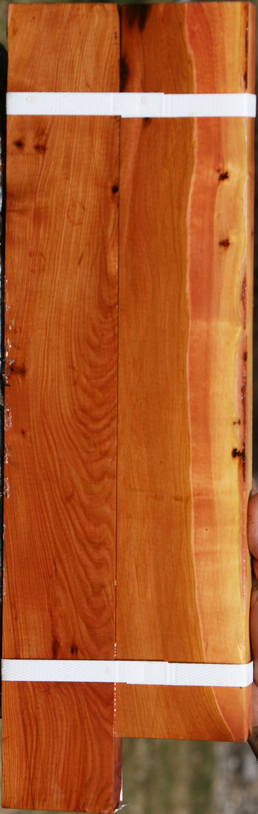 Oregon Ironwood Lumber 2 Pack