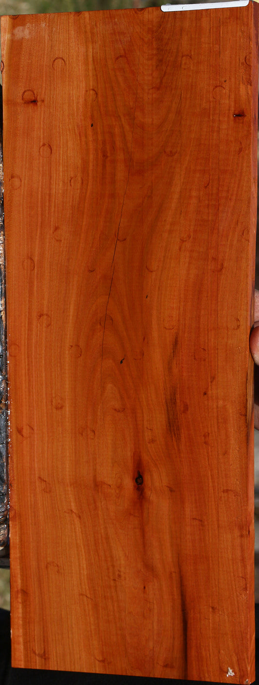 Figured Oregon Ironwood Micro Lumber
