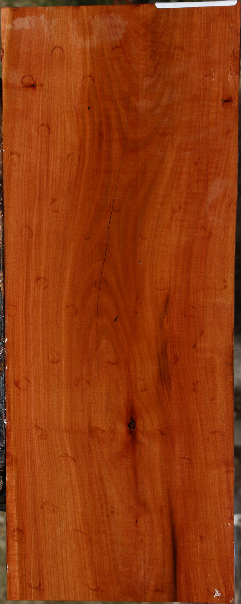 Figured Oregon Ironwood Micro Lumber