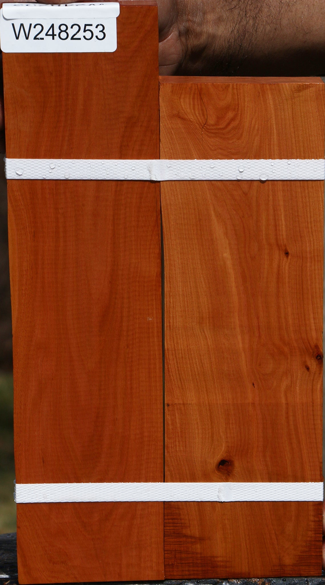 Oregon Ironwood Lumber 2-Pack