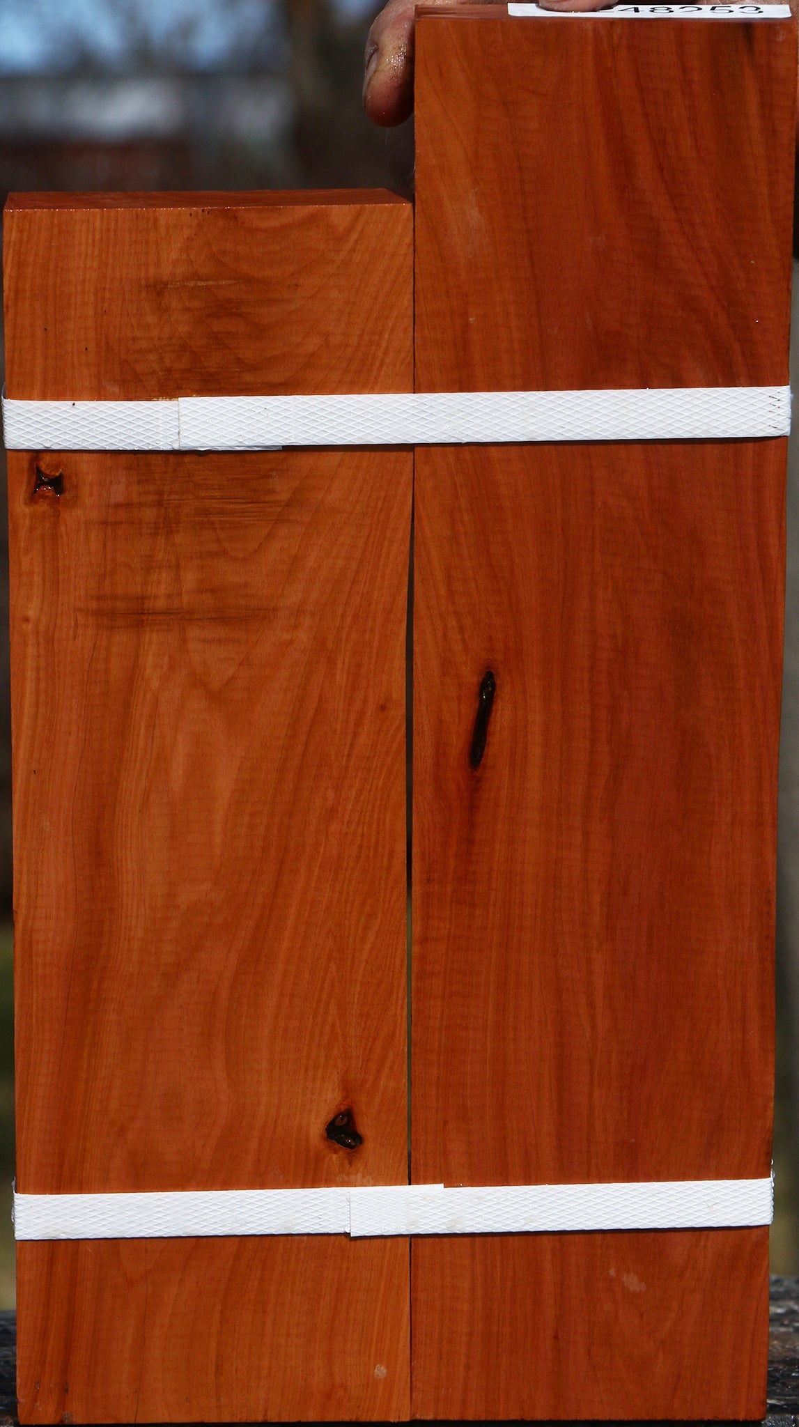 Oregon Ironwood Lumber 2-Pack