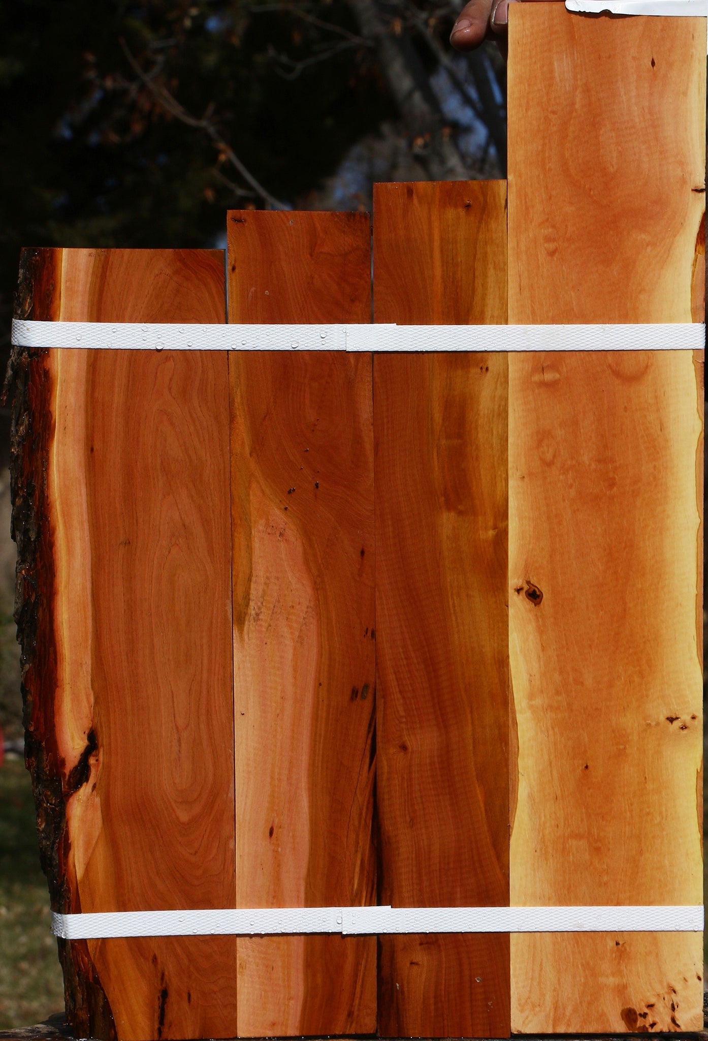 Oregon Ironwood Micro Lumber 4 Pack